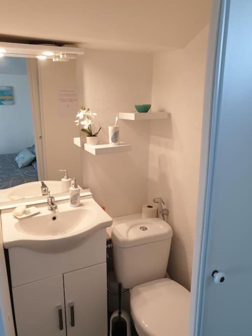 Appartement Duplexe De 1 A 4 Chambres Privees Dans Maison Le Teil Esterno foto